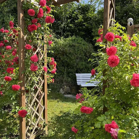 Апартаменты Weitblick Айнбек