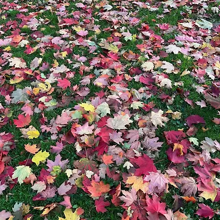 Апартаменты Weitblick