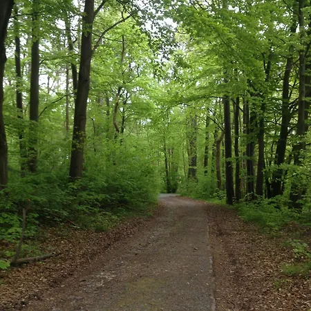Weitblick Einbeck