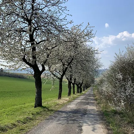 Weitblick * Einbeck