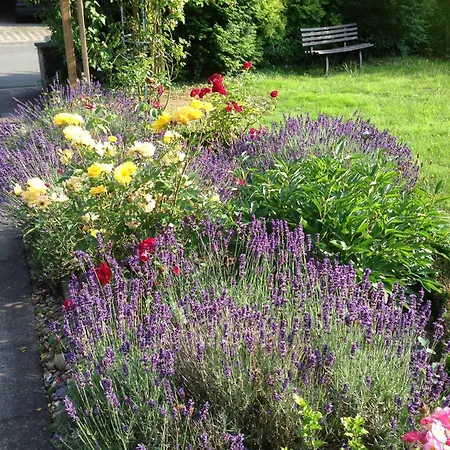 Weitblick Айнбек